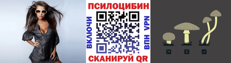 нарко площадка Telegram  Люберцы  Псилоцибиновые грибы мицелий  магазин продажи наркотиков 